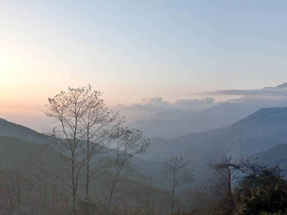 Welcome to the Gpharma Solutions blog